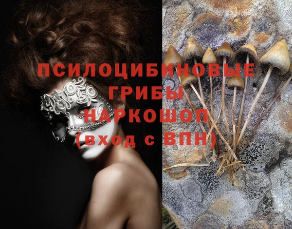 a pvp Аркадак