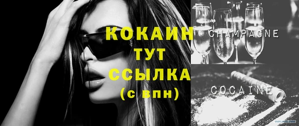 молекула духа Арсеньев