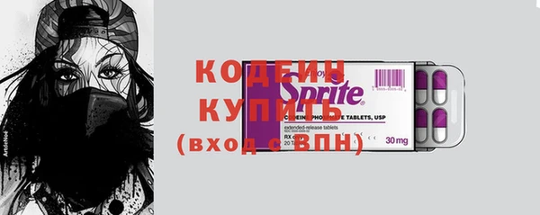 молекула духа Арсеньев