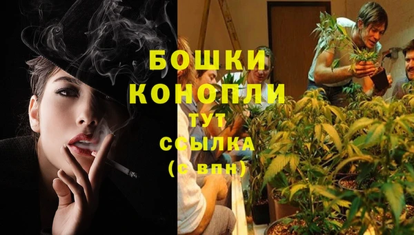 молекула духа Арсеньев