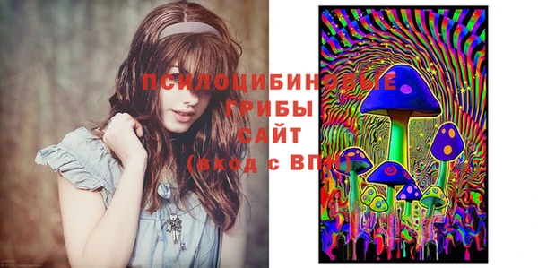 молекула духа Арсеньев