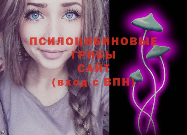a pvp Аркадак