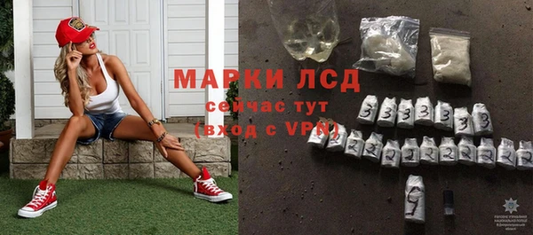 молекула духа Арсеньев