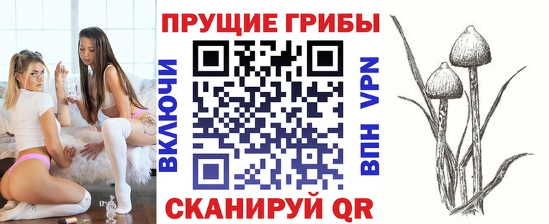 Галлюциногенные грибы GOLDEN TEACHER купить наркотик ОМГ ОМГ зеркало Сосновоборск